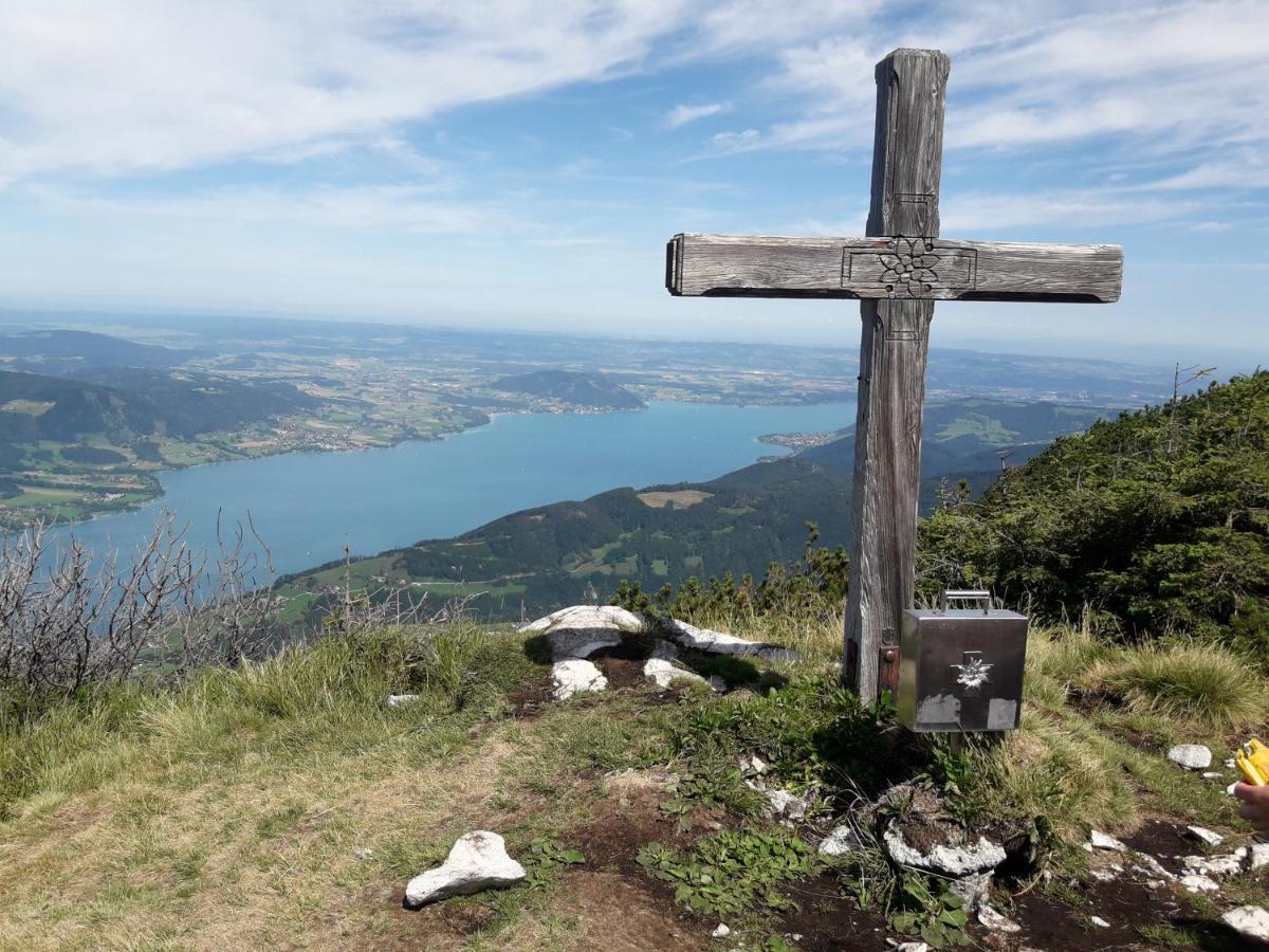 Ferien-Garconniere Hemetsberger Apartman Weyregg Kültér fotó