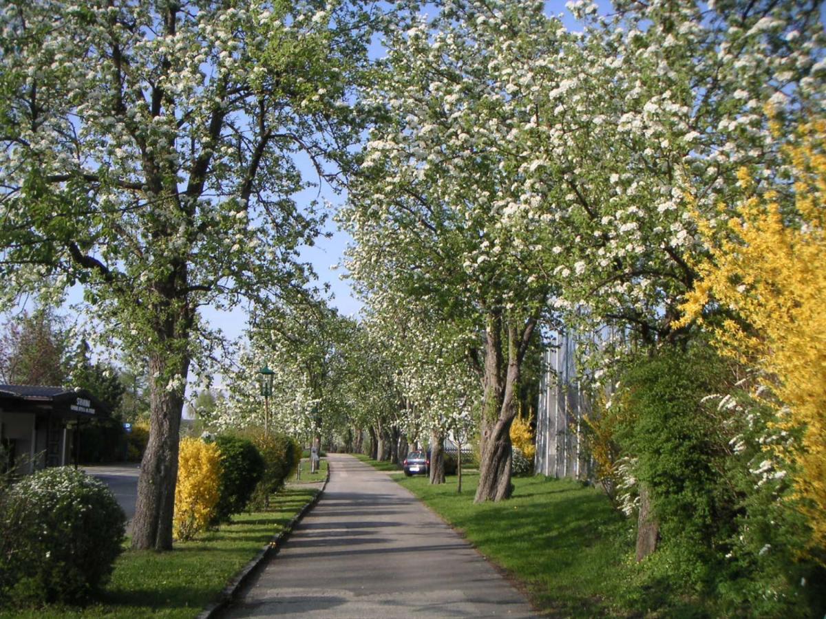 Ferien-Garconniere Hemetsberger Apartman Weyregg Kültér fotó